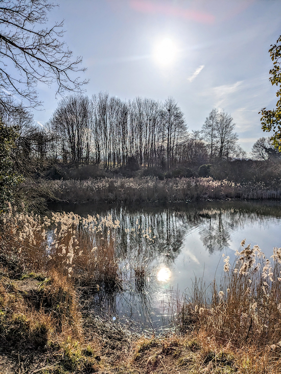 HertsWalker's tweet photo. NEW Walk 228: Tring Long Loop, 10.2 miles (16.5 km) with 210m of ascent. Includes parts of The Ridgeway through The #Chilterns, and a few pub options along the way. 

https://t.co/vtgcHw21su

#Hertfordshire #Hertfordshirewalks #freewalks https://t.co/ciued0nQ9Q