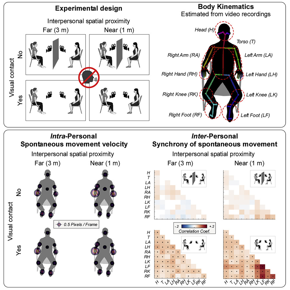 Very excited for our new paper on interpersonal synchronization of spontaneous body movements. We show that, even without any explicit instruction to move, individuals produce spontaneous body movements that are synchronized with their partners. cell.com/iscience/fullt…