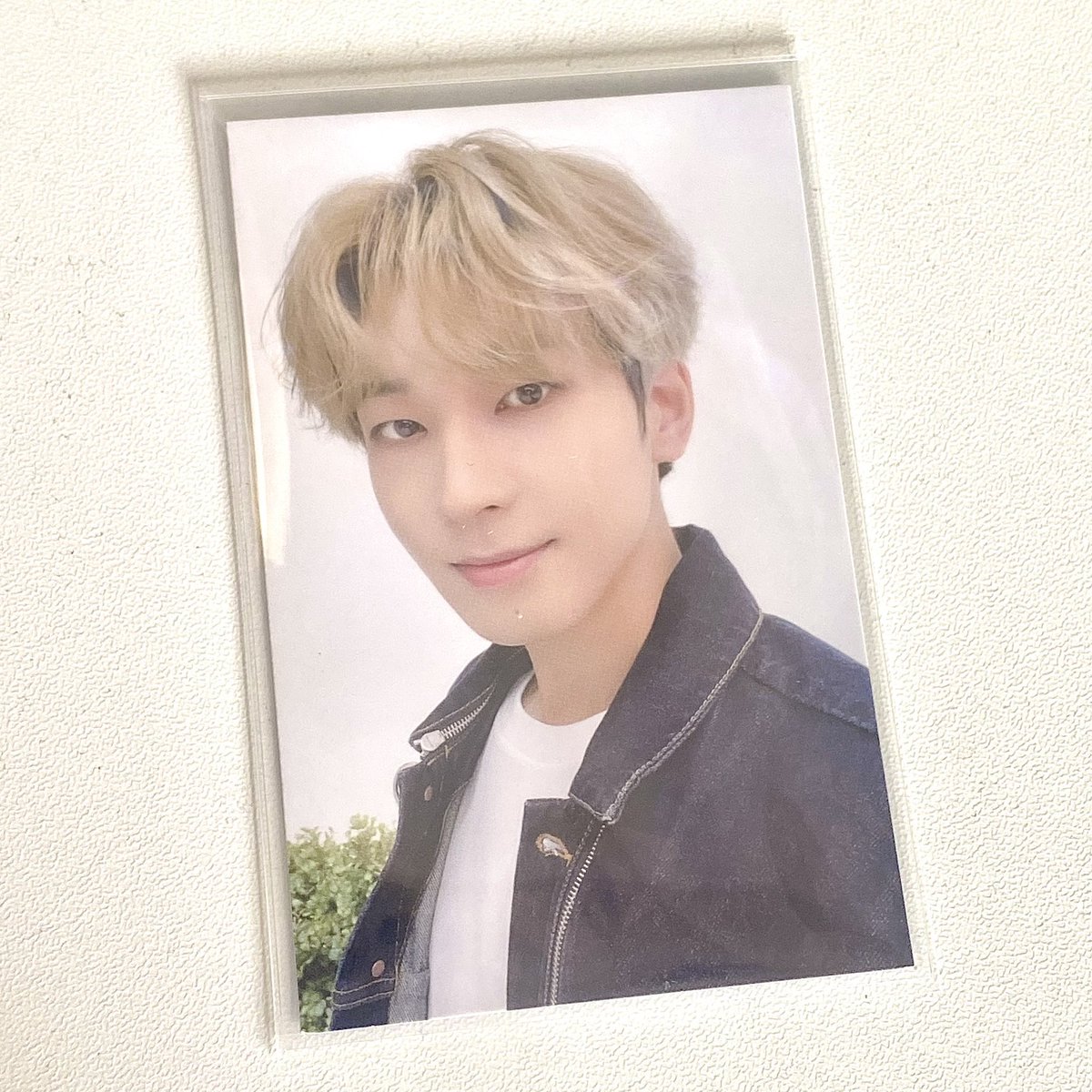 belle ★彡 tweet media