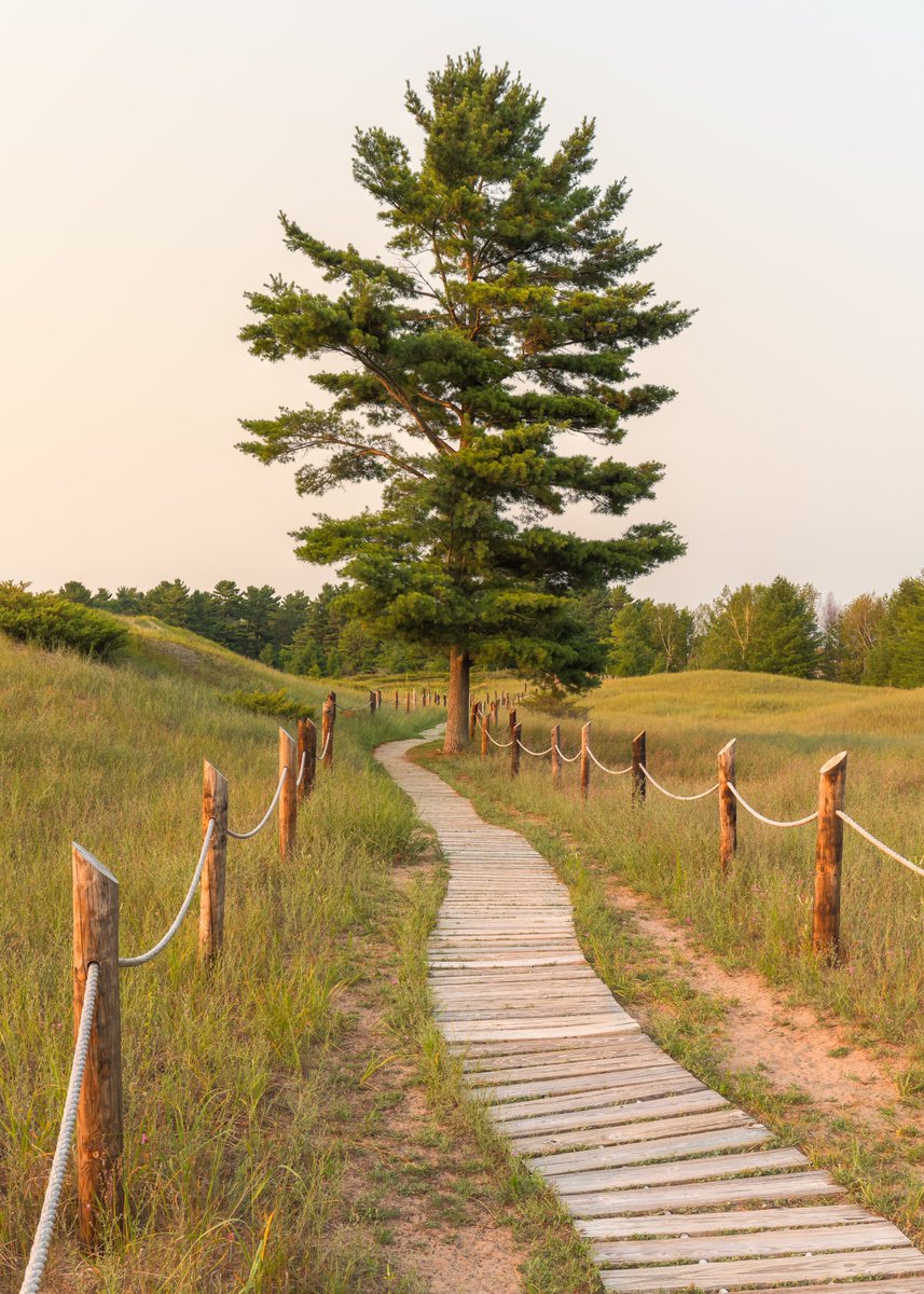 cfenlightenment's tweet image. Teachings from Jane Elizabeth Hart:

Every loving deed, every aspiring thought, and every unselfish action supports your evolution. Work in the best interest of your soul.

#love #soulevolution

How is love moving you forward on your evolutionary journey?