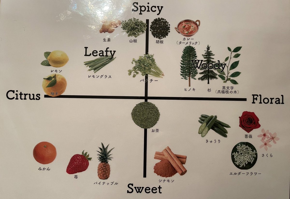 【四ツ谷荒木町】GIN LOVERもえこ tweet media