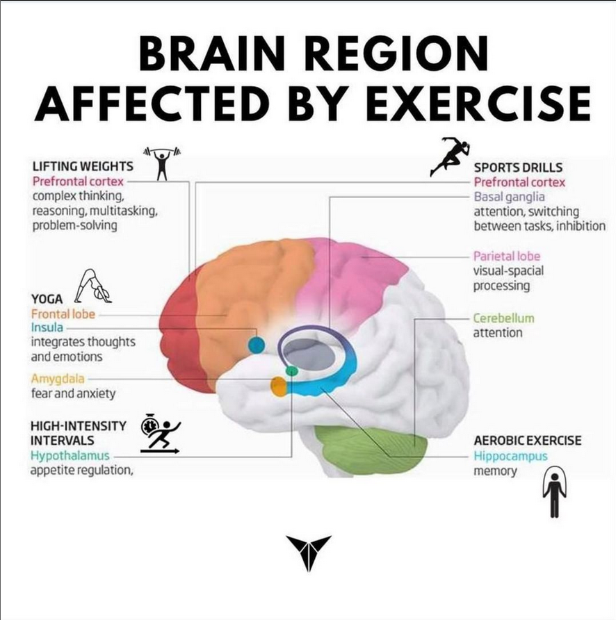 Productivity hack:

Exercise.