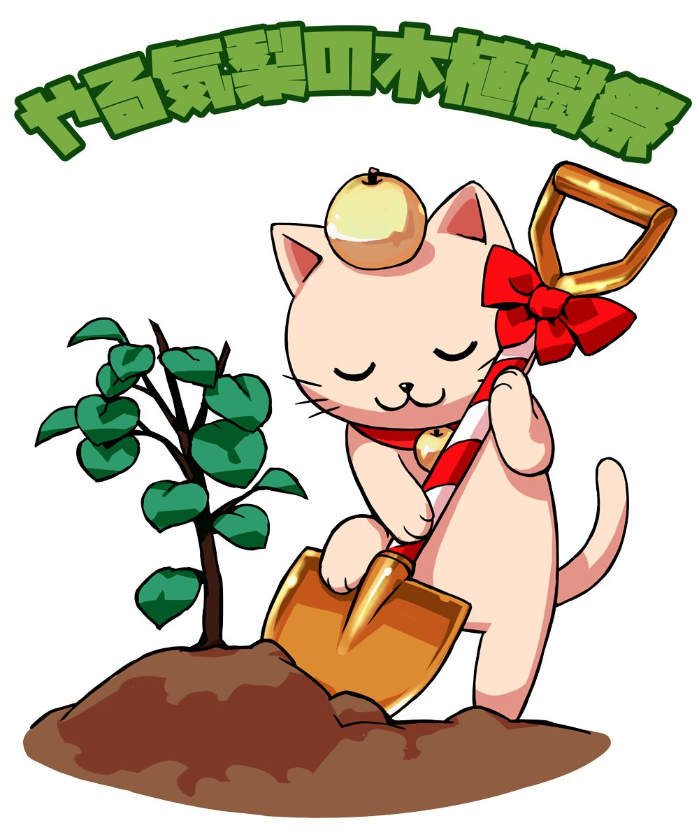 Catowl(ねこふくろう) tweet media