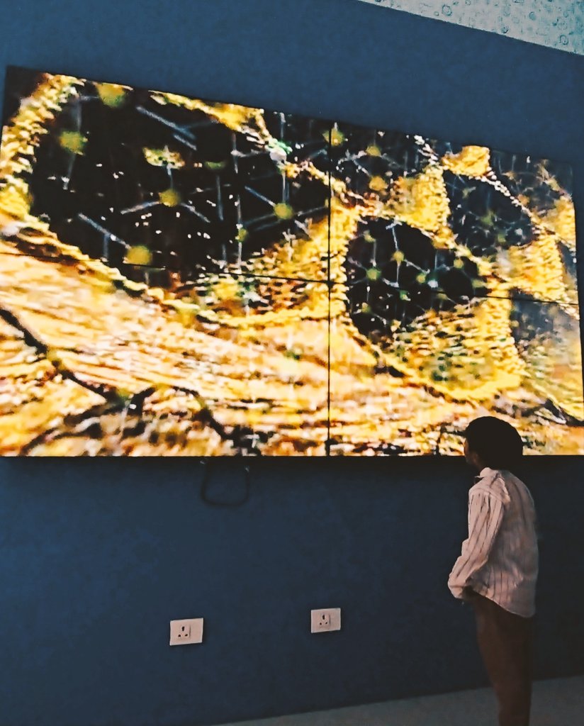 jinkal_rathod's tweet photo. The #Science of #Fossilshells is the first step towards the study of the #Earth -Giovanni Battista Brocchi.
.
.
.
@InfoGujcost
@RSCBhavnagar
@dstGujarat
@narottamsahoo
@GKGoswami9 https://t.co/5mVktat4Fj