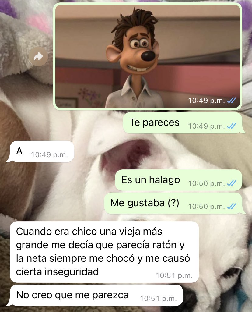 alejandragvrciv's tweet image. Síganme para más consejos de ligue