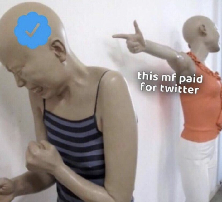 Should I pay for Twitter??