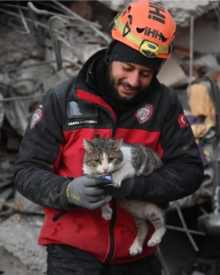 KhaledBeydoun's tweet photo. 10,000s of animals have been rescued in Turkiye 🇹🇷 https://t.co/ewpQjzPz4C