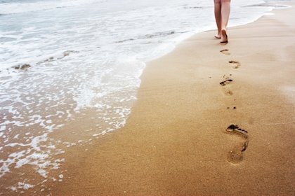 És millor no deixar espines per on camines, potser algun dia, hauràs de tornar enrere sense sabates. #BonDia