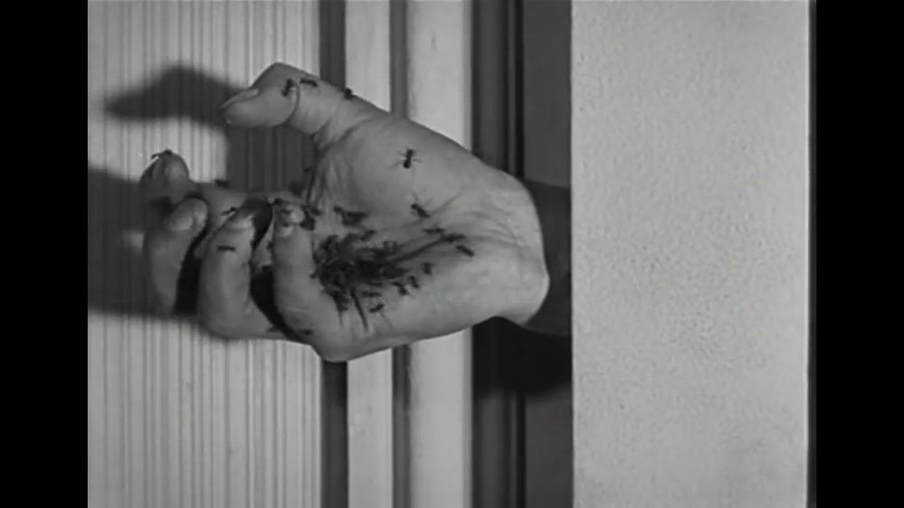 Prominent artists were also interested in cinema, whether Marcel Duchamp (of The Fountain fame) or S
