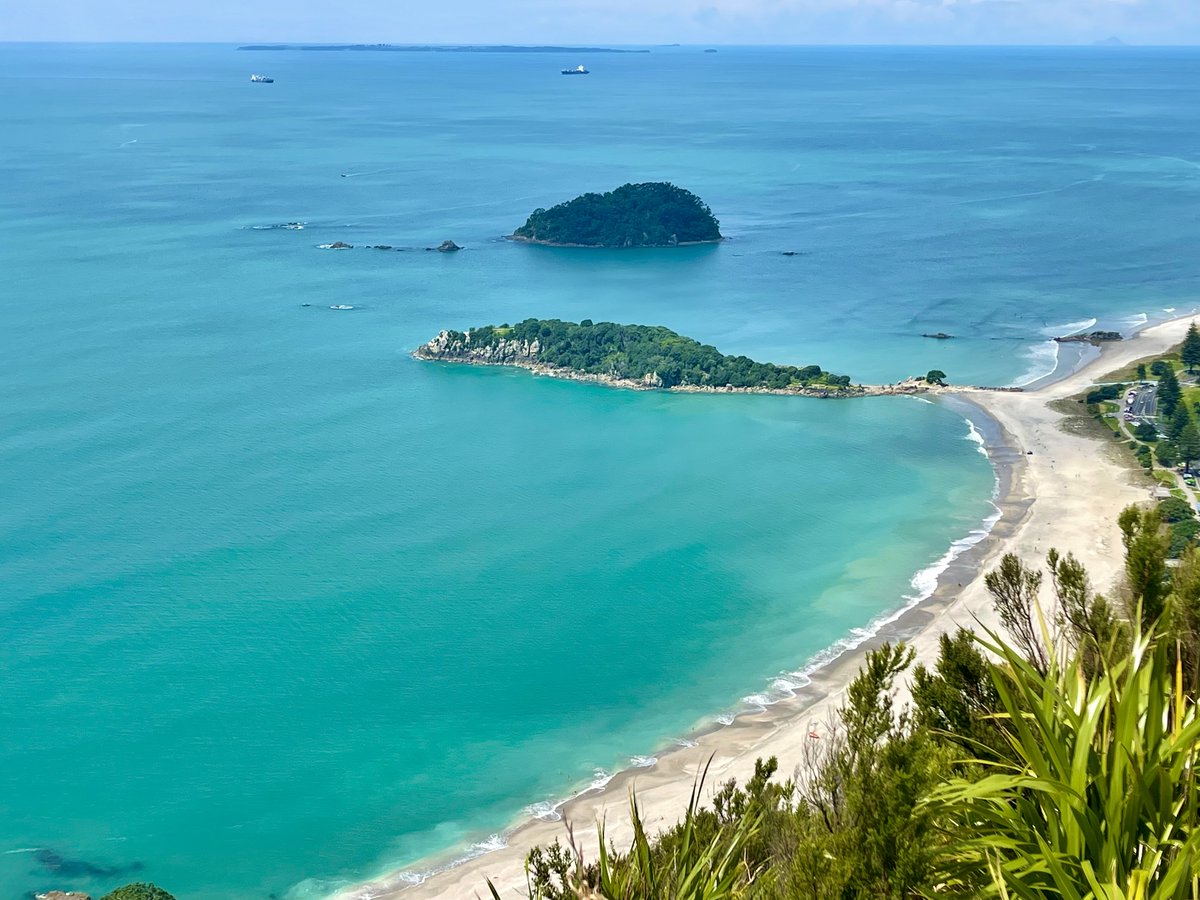 LouiseMangos's tweet photo. Checking out my afternoon #OpenWaterSwim from the north end of the #beach at #TheMount to #Moturiki from the summit of #Mauao (#MtMaunganui). After the hot #hike up, I can't wait to get into that turquoise water.
#WildSwimming
#WhatIDoWhenImNotWriting
#AfterTheCyclone #NewZealand https://t.co/d13EwdxUmx