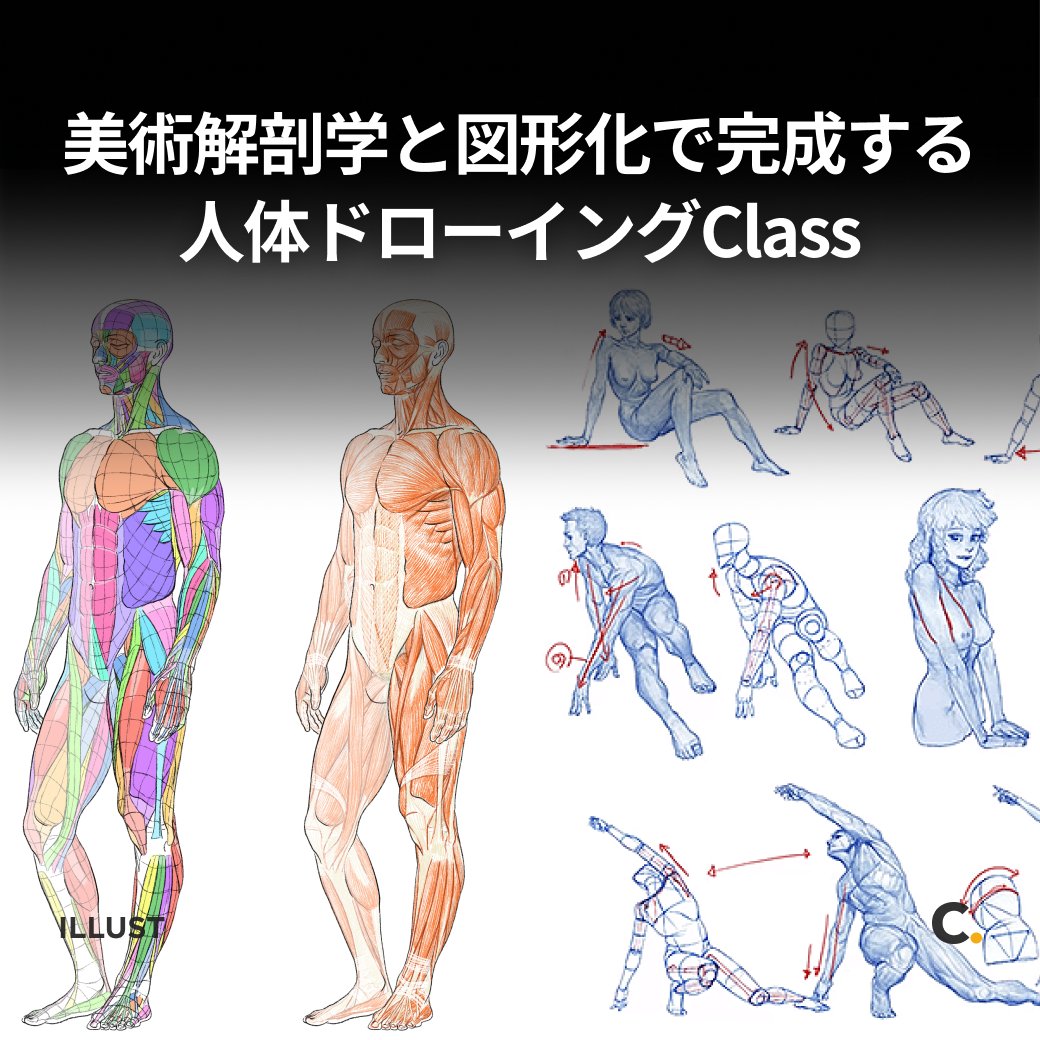 Figure Drawing 　美術　解剖図　遠近法　ドローイング　イラスト モーションを描くための美術解剖学 - マール社