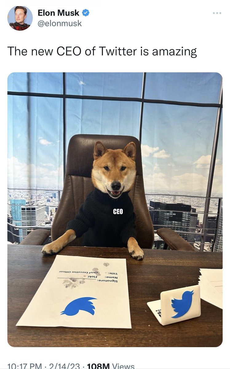 $DOGE $SHIB $FLOKI $BOSS