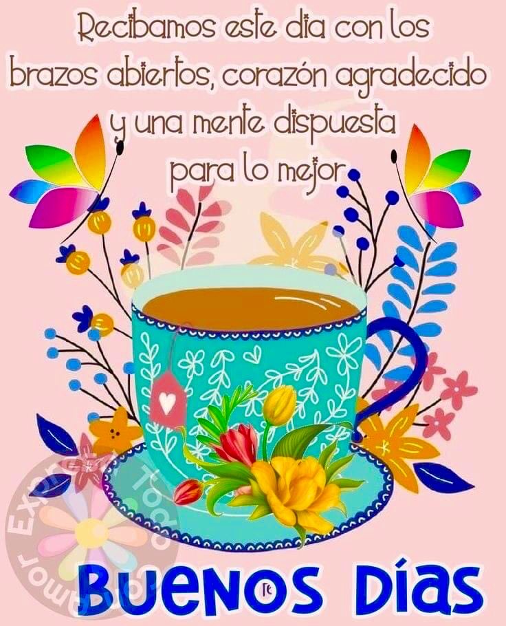 Pensamiento Positivo (@citapositiva) on Twitter photo 