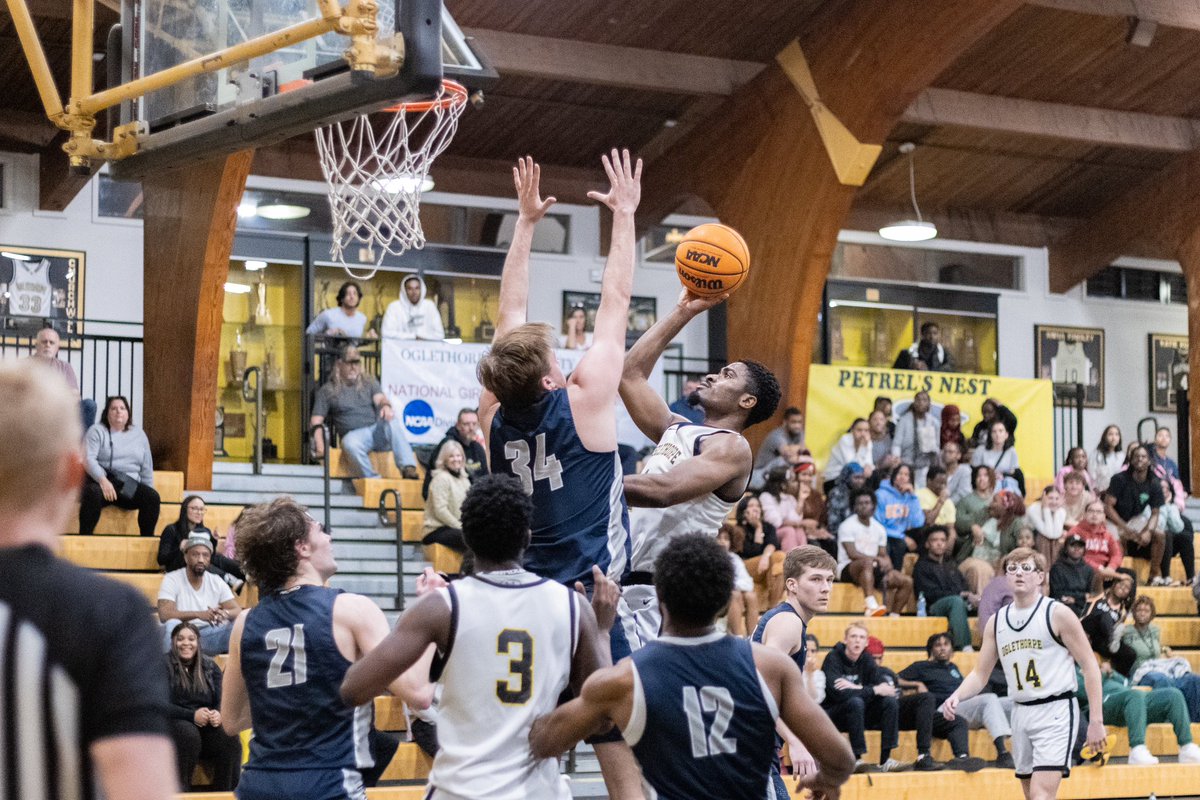 GoPetrelsMBBall tweet picture
