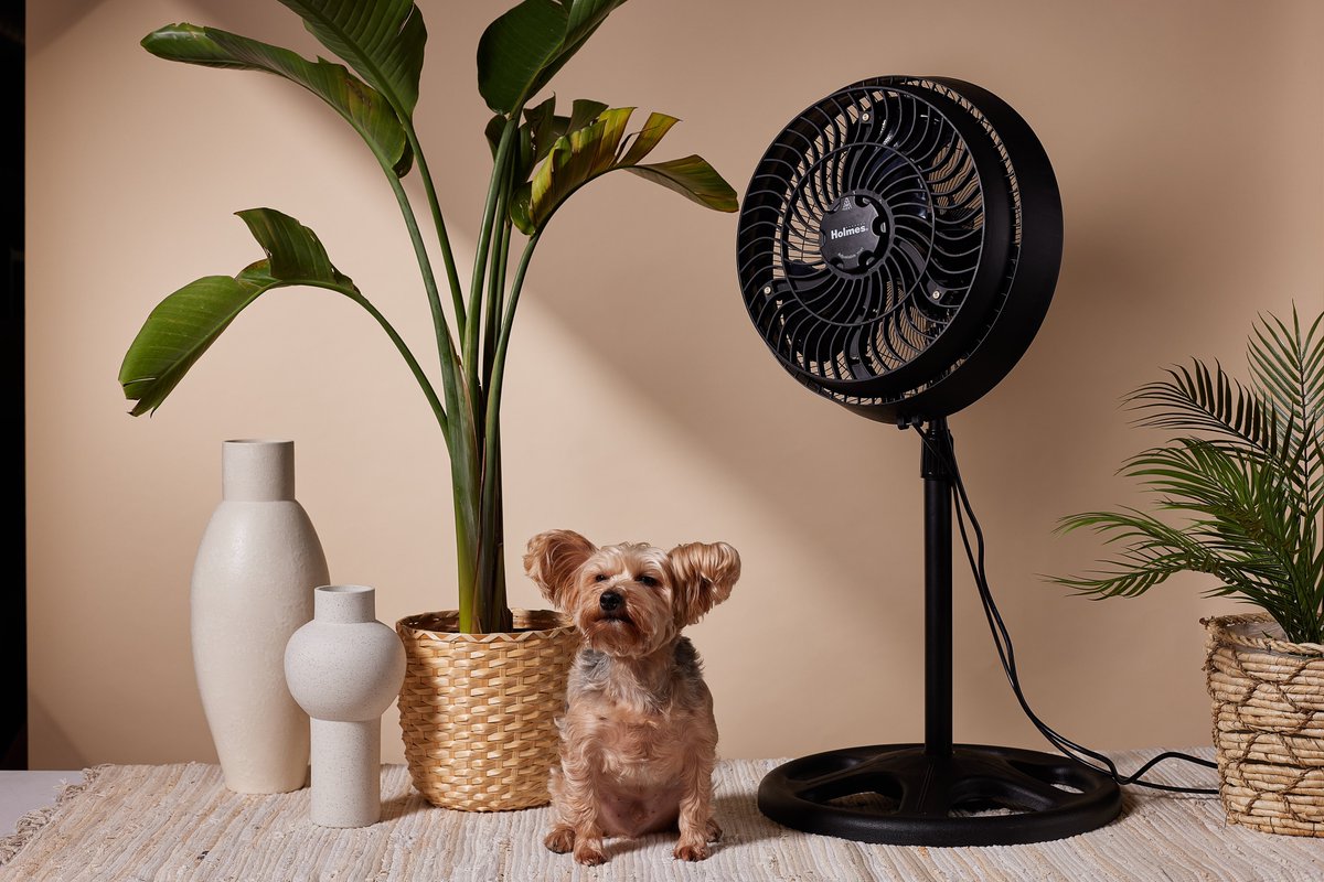 THE FILIPINE DREAM tweet media