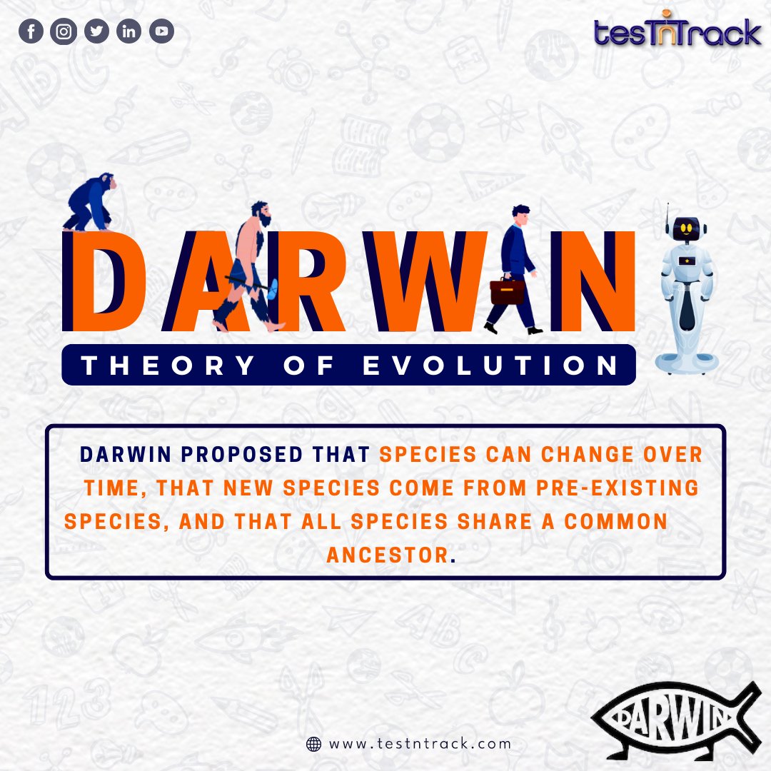 testntrack's tweet image. &quot;From single-cell beginnings to complex beings, Darwin&apos;s theory proves that life is always evolving 🌿🦕🐒 &quot;

#DarwinEvolution #AdaptOrPerish #darwin #theory #change #trendingreels #trending #trend #post #learn