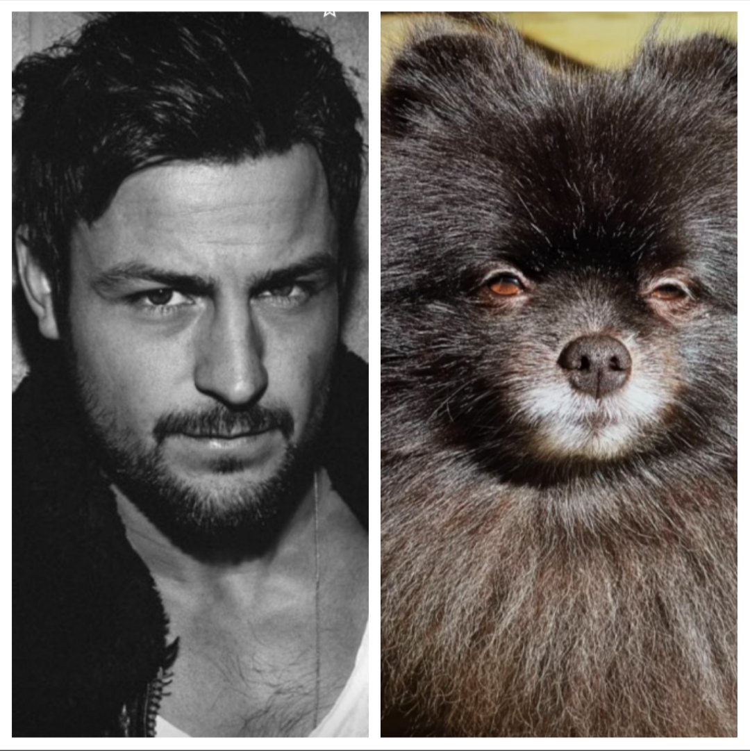 bonoisagod's tweet photo. Fathers and Sons...
Who taught who the smolder?
@tyler_hynes #hisboy #tylerhynes #rustyjames #motorcycleboy #lockthedoggiegate #comingforyourgirl 🐺🏍️🖤🤍🤍 https://t.co/P8yCUOwx3L
