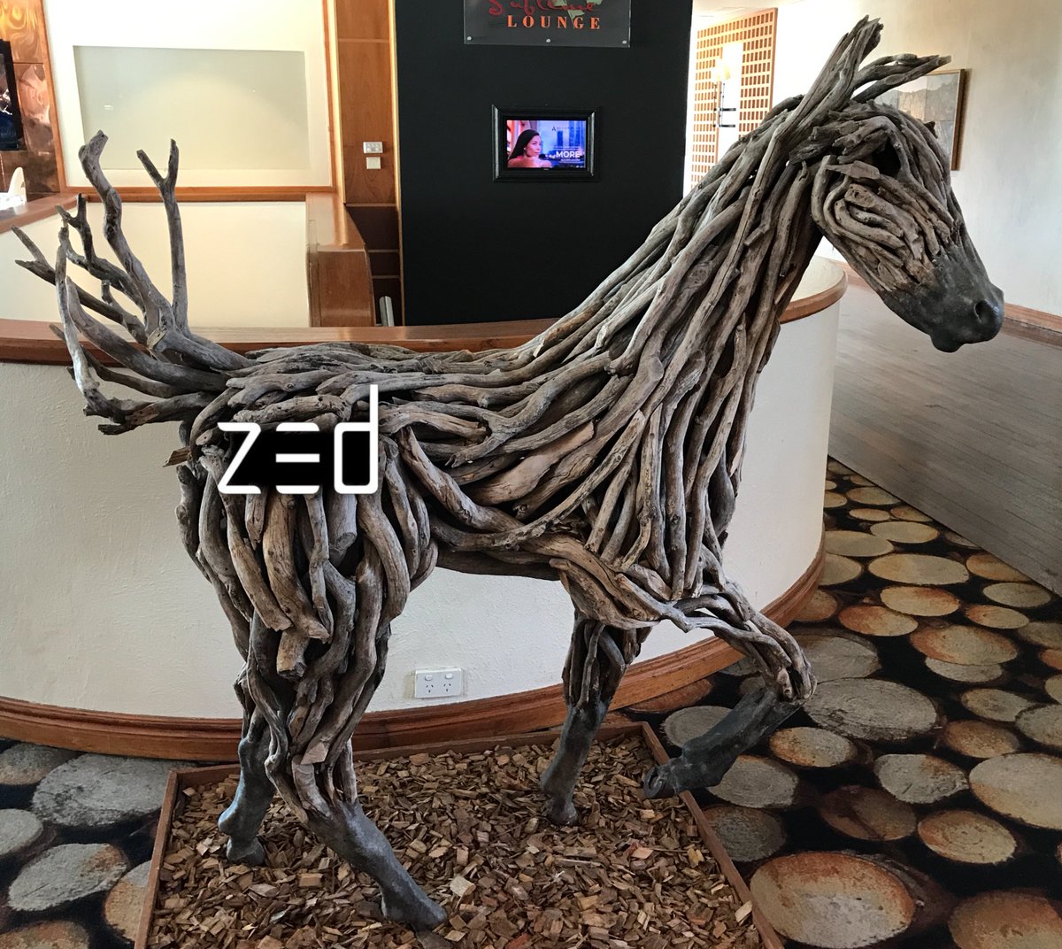 I think I have finally twigged to this <a href="/zed_run/">zed_run</a> breeding caper. This is my late addition for the Maiden, TreeBiscuit. I could be barking up the wrong tree but if I stick at it who knows maybe I’ll get to the root of success. I think I’ll leaf it at that for the Dad jokes today.