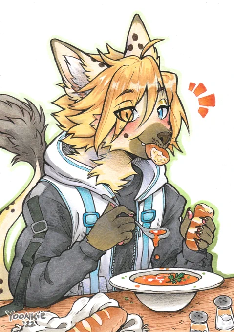 copics for  and   