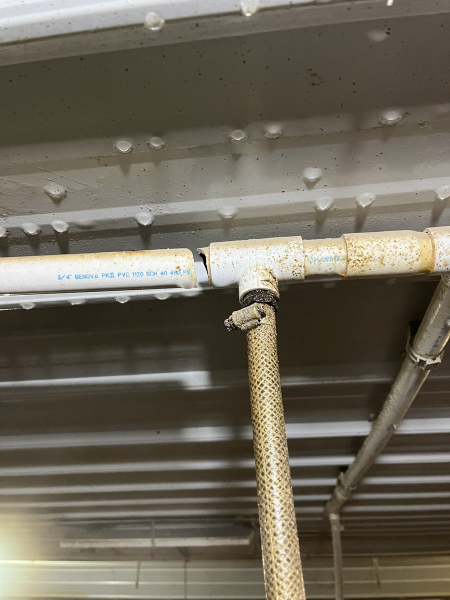 Bruce Lantzky tweet media