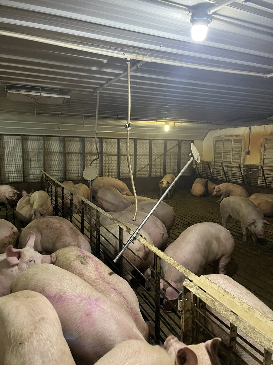 Bruce Lantzky tweet media