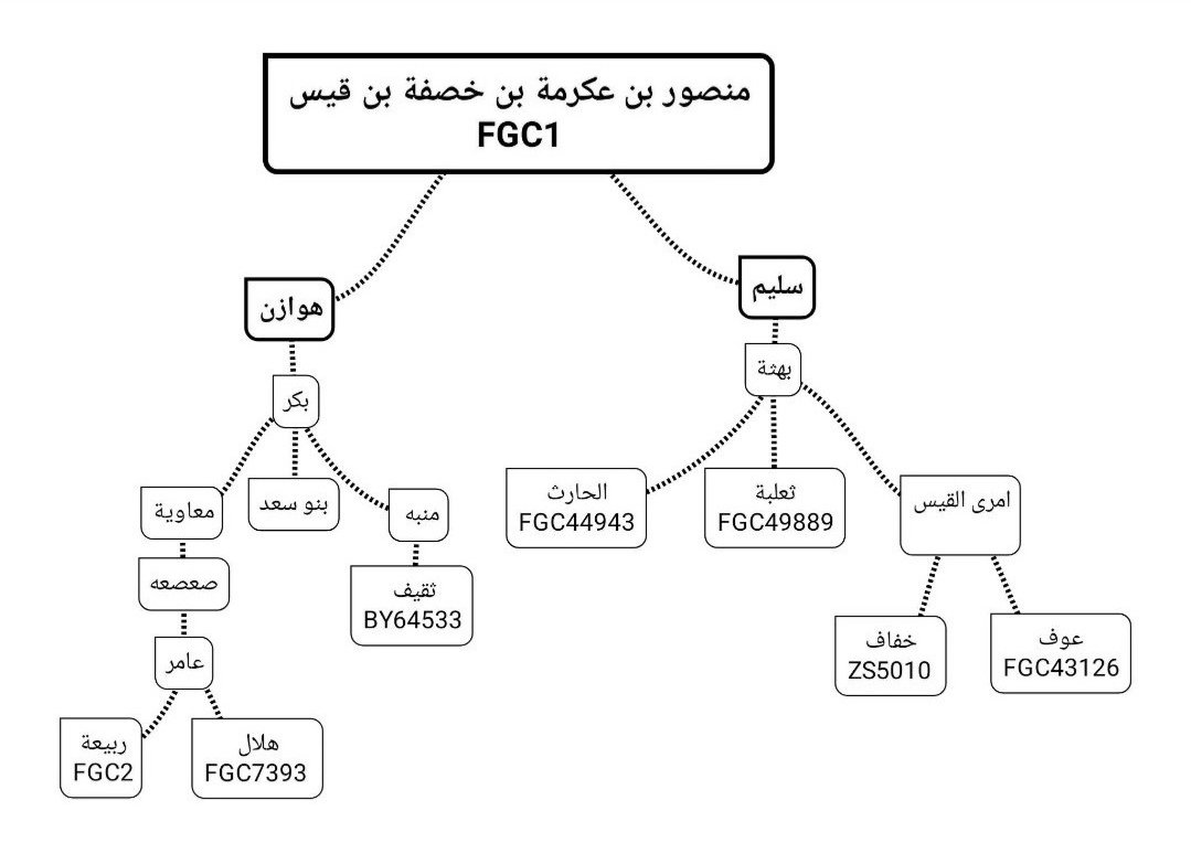 من الأخطاء الكبيرة هي تطبيل جماعة التحور fgc5427 بعدوانية مطير ونفي مطير من الغطفانيه من ما يؤثر على الإسقاط الحقيقي لكلابية التحور fgc5427 وفتح مجال لخزعبلات عبسية التحور fgc2 والذي يمثل قبائل ربيعه بن عامر اخ التحور الهلالي fgc7393