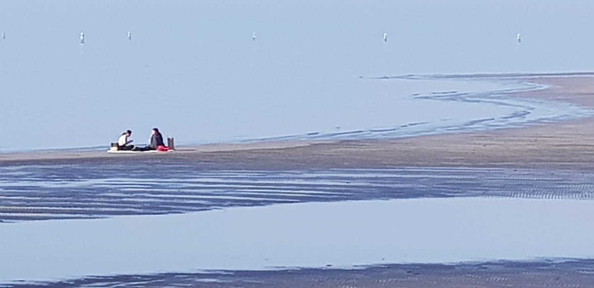 .@FVGlive -

#isola di #GRADO #island -

#Buongiorno #GoodMorning #GutenTag #BuenoDìas -

Così ieri mattina #spiaggia #CostaAzzurra e così oggi con nel pomeriggio tanta gente a passeggio -

<a href="/mariacr28250504/">maria cristina lazzi</a> <a href="/giorgiobigi1/">giorgio bigi</a> <a href="/azzur_farfalla/">Azzurra Farfalla</a> <a href="/marina52182/">Marina 🦊🎾❤️</a> <a href="/SuttoraM/">suttora marina</a> <a href="/SaraSanson67/">Sara Sanson</a>