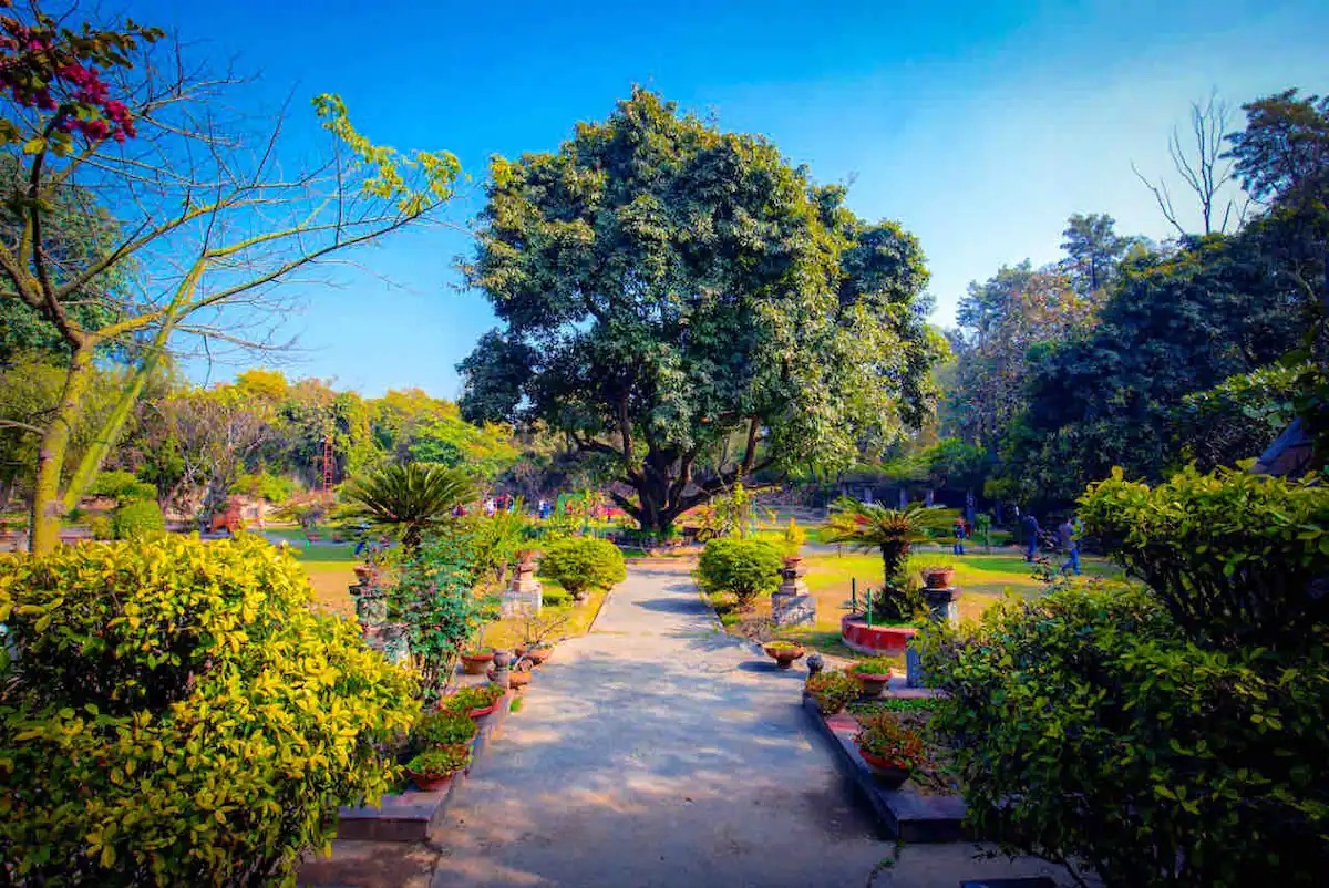 This FARMSTAY in DELHI with a pool is a great to escape for your weekends