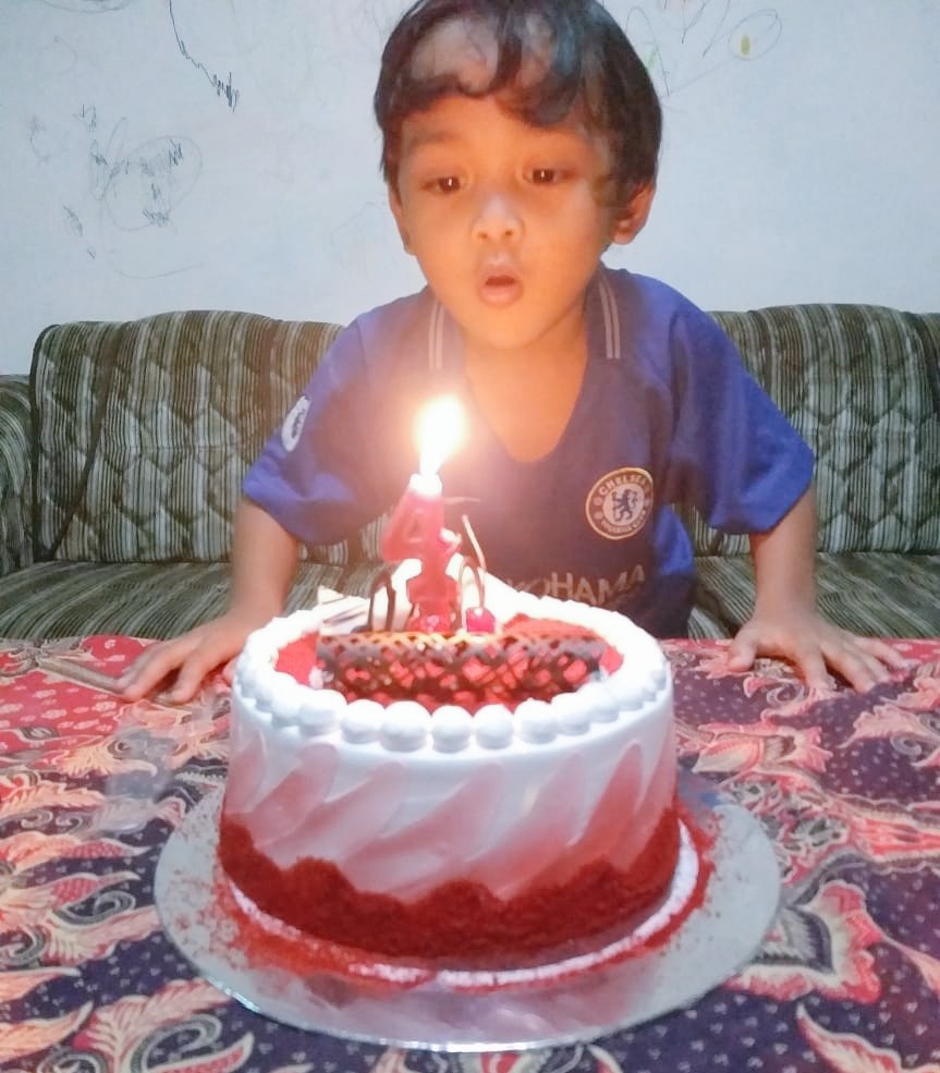 findbima's tweet image. 