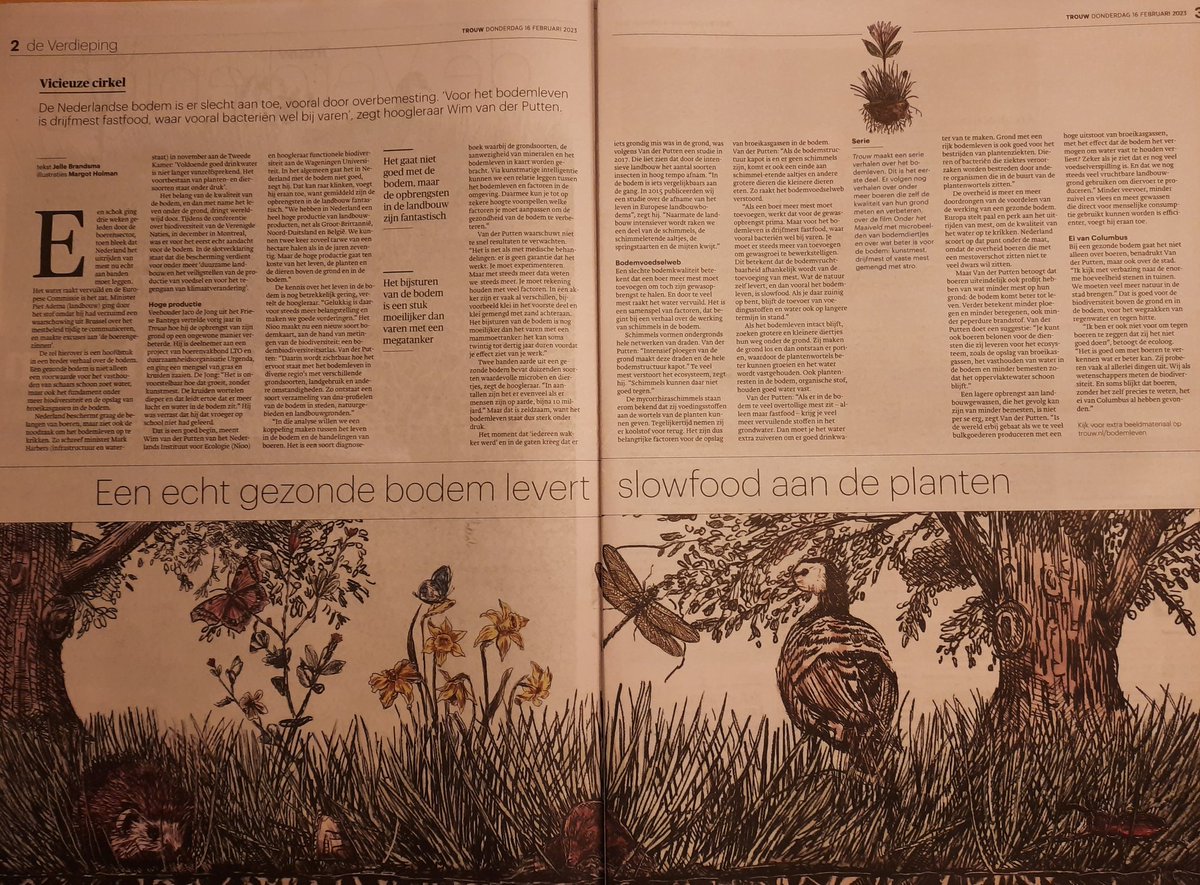 De bodem is de basis van onze gezondheid, voor bioversiteit en voedsel. Een mooi artikel in <a href="/trouw/">Trouw</a>. <a href="/GrienLinksFrysl/">GrienLinks Fryslân</a> staat voor een goede balans van landbouw en natuur met respect voor de bodem.