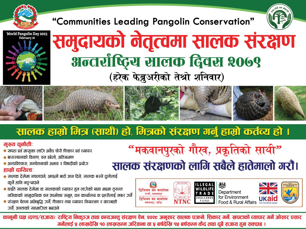 अन्तराष्ट्रिय सालक दिवस २०७९ को शुभकामना! #Pangolin #Pangolinday2023