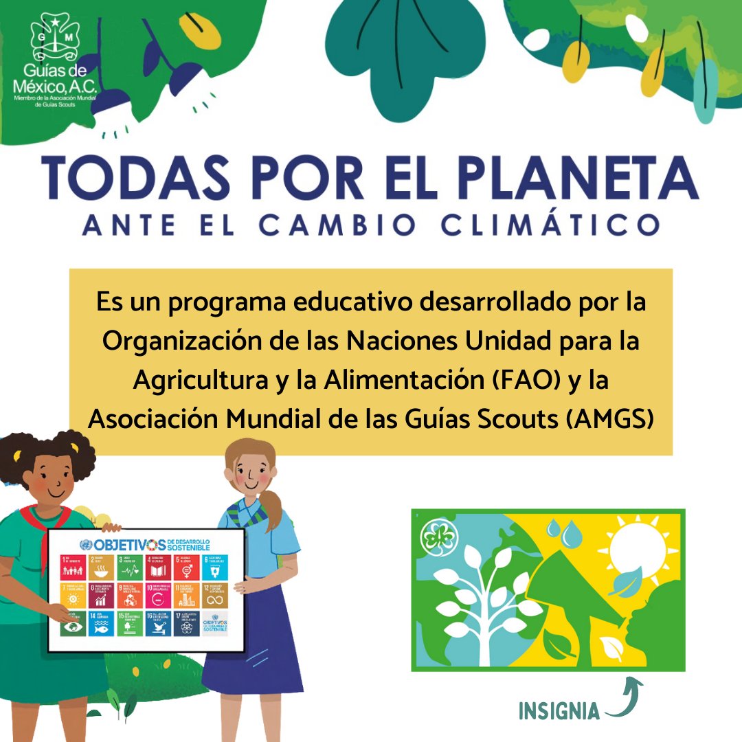 guiasmex's tweet photo. Todas por el Planeta🌎 Es un programa educativo desarrollado por la @FAOenEspanol  y la @wagggsworld que busca preparar a las niñas y mujeres jóvenes para enfrentarse a las consecuencias del Cambio Climático

Se parte del cambio y únete, escríbenos a: tpep@guiasdemexico.org.mx https://t.co/nsyRRO7f2j
