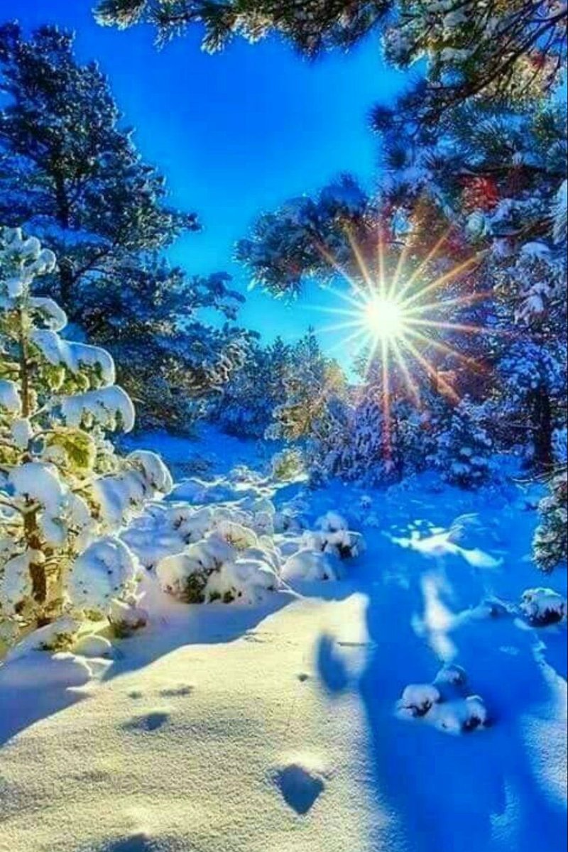 Good morning dear friends !
#photos #photography #morning #sunrise