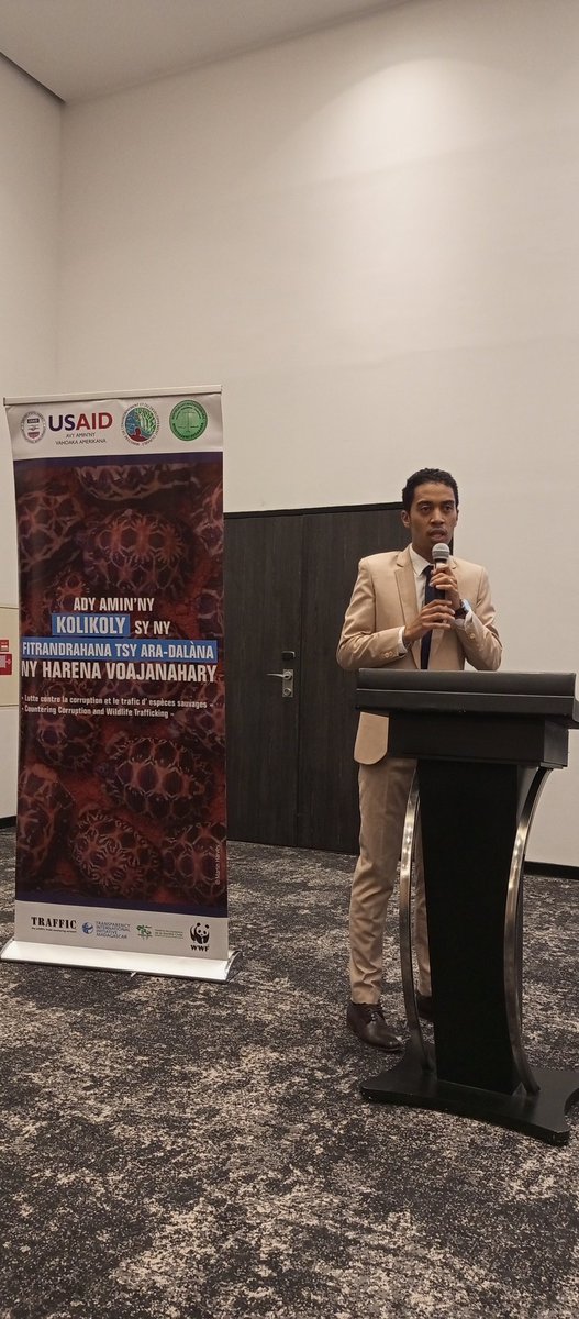 KeRafitoson's tweet photo. Today, @TI_MDG along with the #CCWT #Madagascar consortium @wwf_mada @TRAFFIC_WLTrade #AVG funded by @USAIDMadagascar launched the results of a study on the legal framework & assessment of corruption risks in the "precious wood" value chain in the #Menabe region @anticorruption https://t.co/JmAcxXo6lT