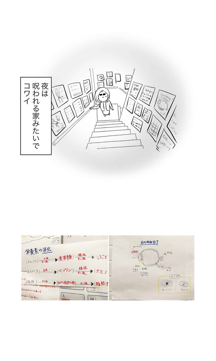 #エムモト家最後の中学受験日記 ⑲ テストって結局暗記で勝負みたいなところある 