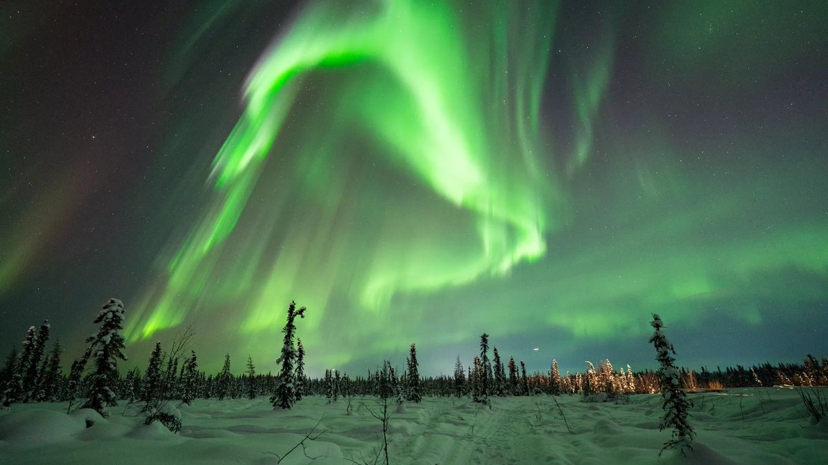 estelsiplanetes's tweet photo. Quina aurora!
La recent activitat solar ha donat lloc a aurores espectaculars.
Com aquesta, capturada des d'Alaska per Vincent Ledvina fa dos dies.
Qué són les aurores? 
Entra fil... https://t.co/x9L8SZGv9n
