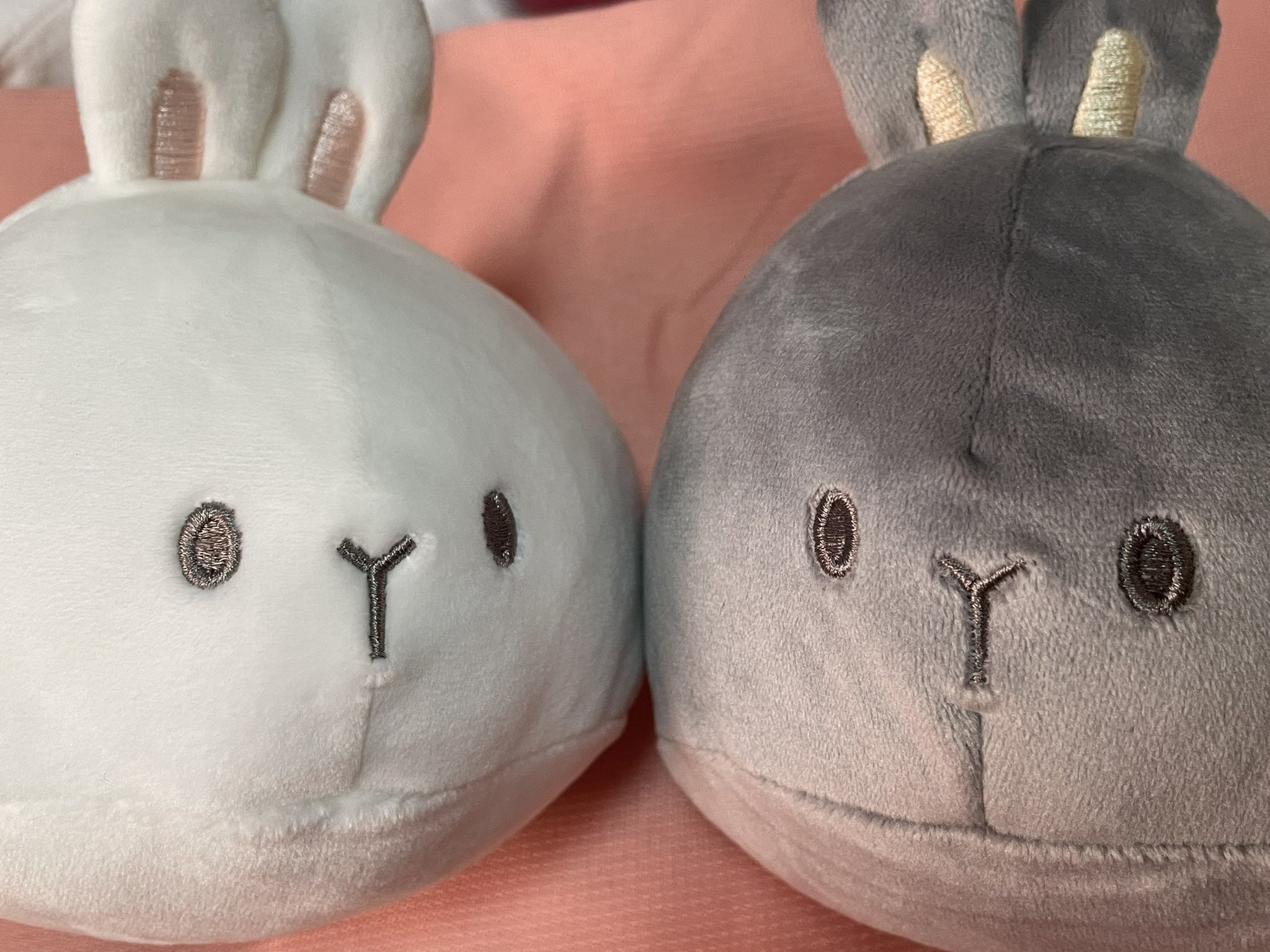 もきゅっとうさぎ - Search / X