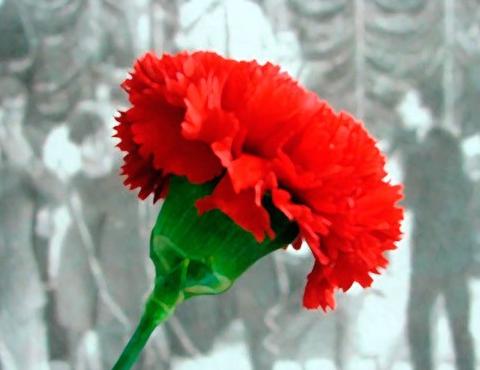 helloiambguedes's tweet image. OMW to Lisbon right now to be with @tal... oh wait 😱
We are still in twitter prison... @pcbo it&apos;s time to start planning a new edition of the carnation flowers revolution.

#FreeTalentProtocol