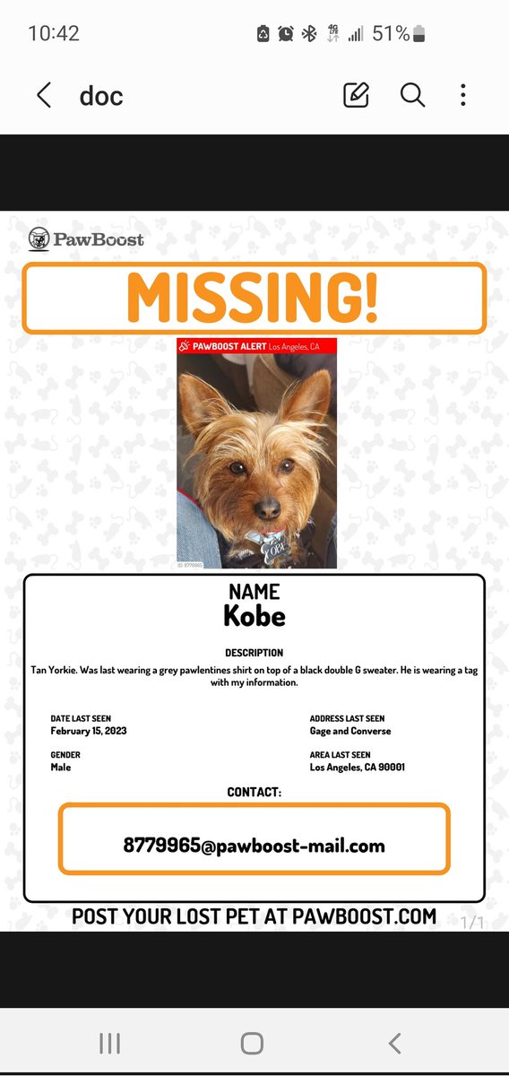 NajeraPhys's tweet photo. Please help me find my dog! https://t.co/E6rHrJnTKX