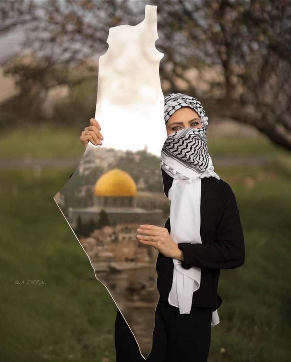 Palestina Internacional Broadcast tweet media