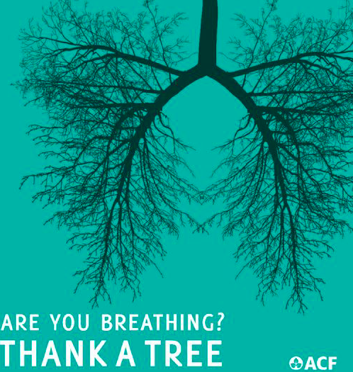 Always be thankful to Mother Nature 🙏🏽

#Climate #Sustainability #Environment #India #ClimaJo