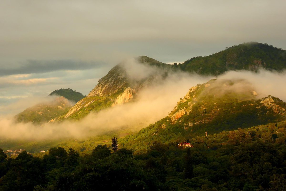 MutareSights's tweet photo. Golden Sunrise Stripe in #Mutare📍
A golden sunrise 🌤️ early morning on Wed 15th February , from Hospital Hill to Chikanga, Hobhouse , Murahwa Mountain, Show Ground, Fairbridge Park, Shangani Avenue, Old Murambi and Transmitter Hills.
#VisitMutare
Pic📸 : Peter Lowenstein https://t.co/JeDc2YIBCl