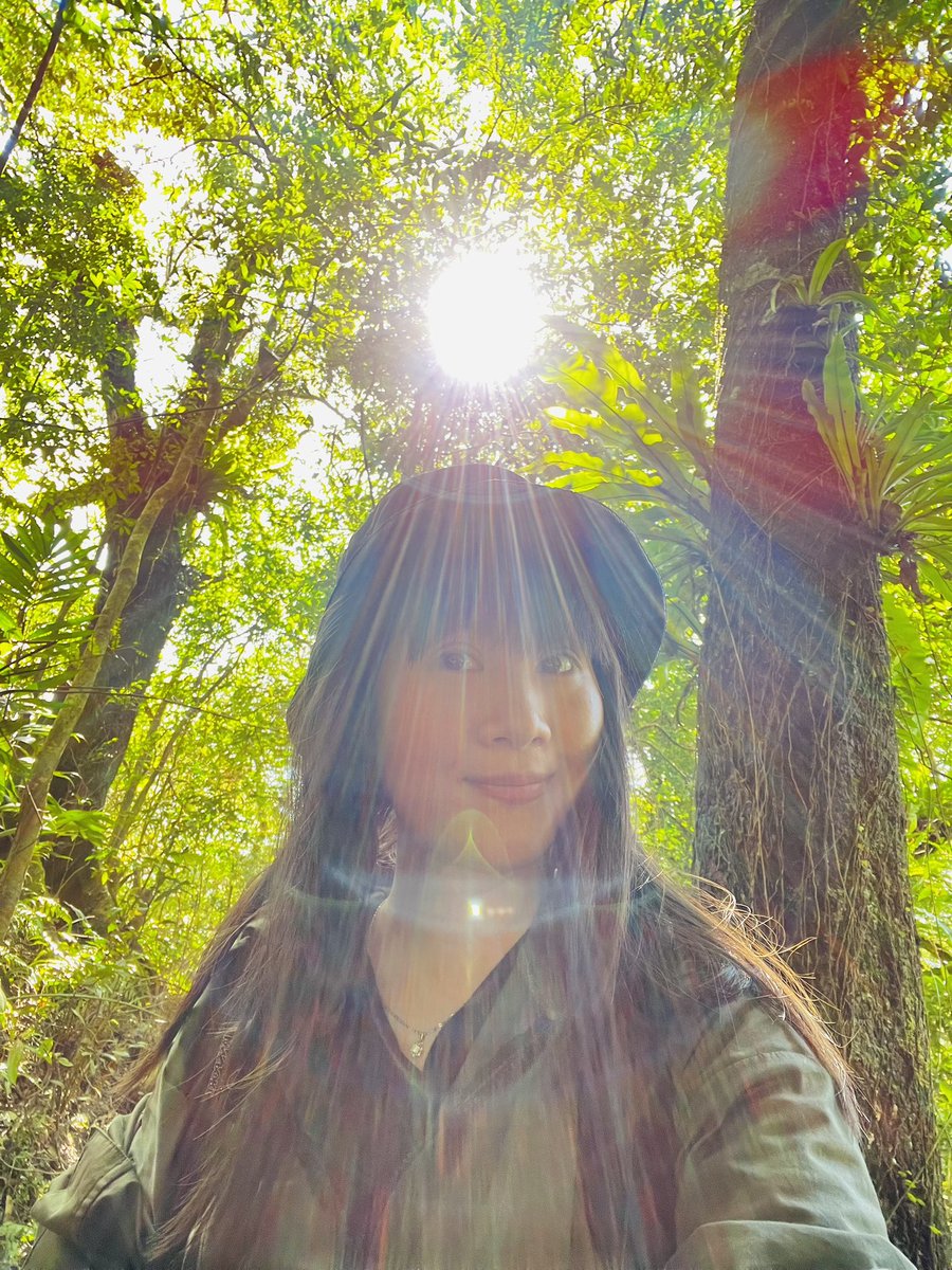 HohoaChang's tweet photo. #mountains #mountain #sunny #taiwan #宜蘭 #抹茶山 #聖母山莊抹茶山 https://t.co/5cFUZrzUpe
