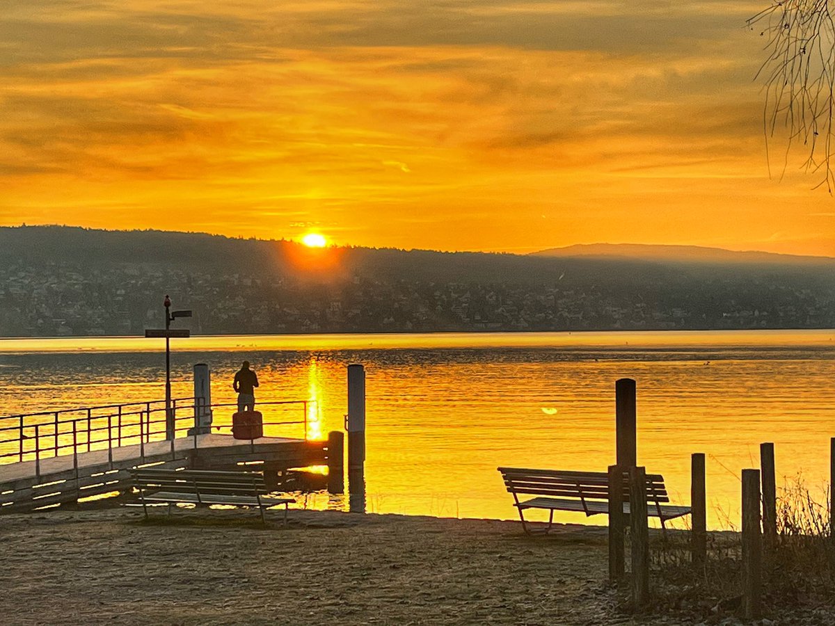 ganznett's tweet photo. Moin 🤩 #yellowthursday https://t.co/q6noiMKXGt