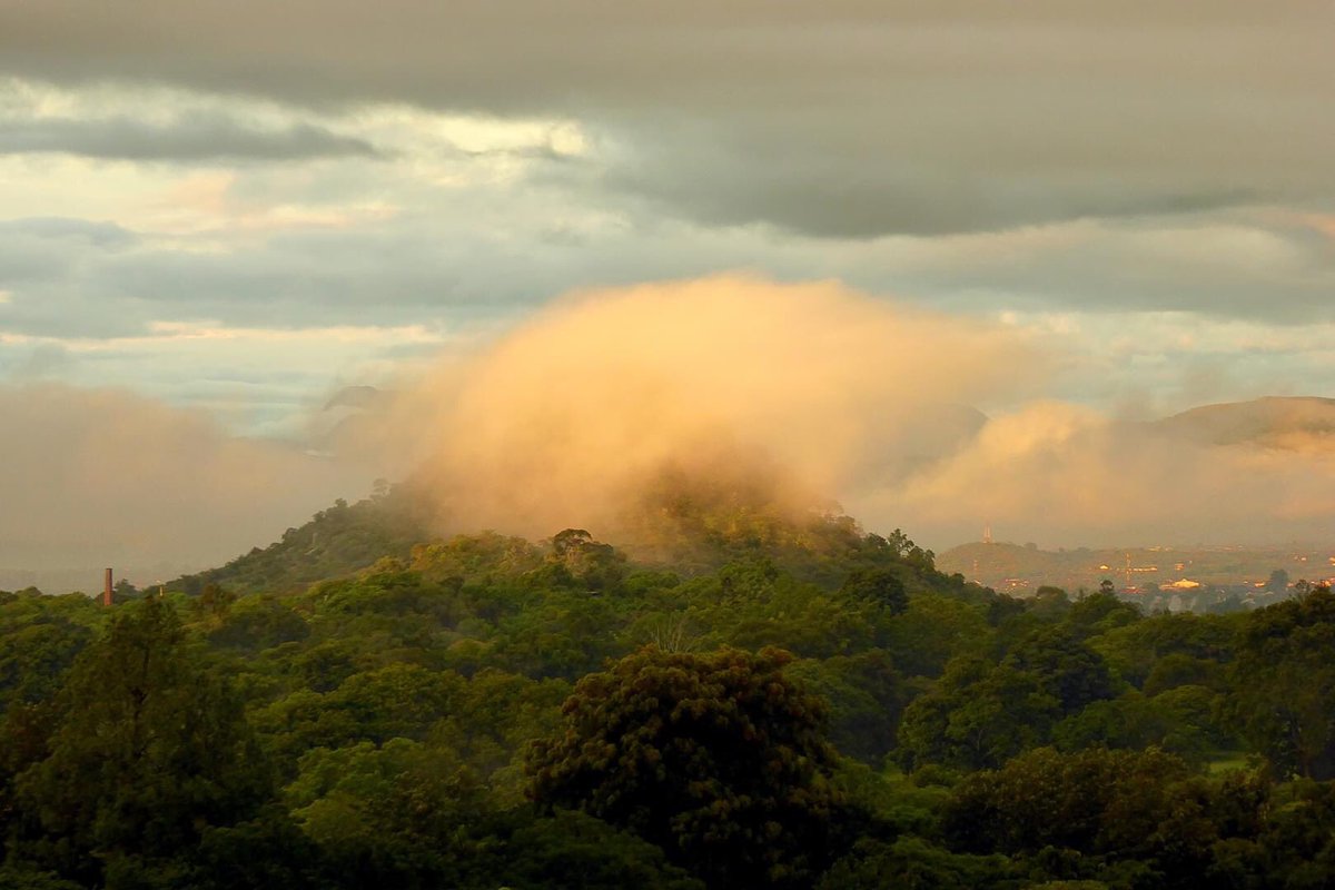 MutareSights's tweet photo. Golden Sunrise Stripe in #Mutare📍
A golden sunrise 🌤️ early morning on Wed 15th February , from Hospital Hill to Chikanga, Hobhouse , Murahwa Mountain, Show Ground, Fairbridge Park, Shangani Avenue, Old Murambi and Transmitter Hills.
#VisitMutare
Pic📸 : Peter Lowenstein https://t.co/RYt9H2kry5