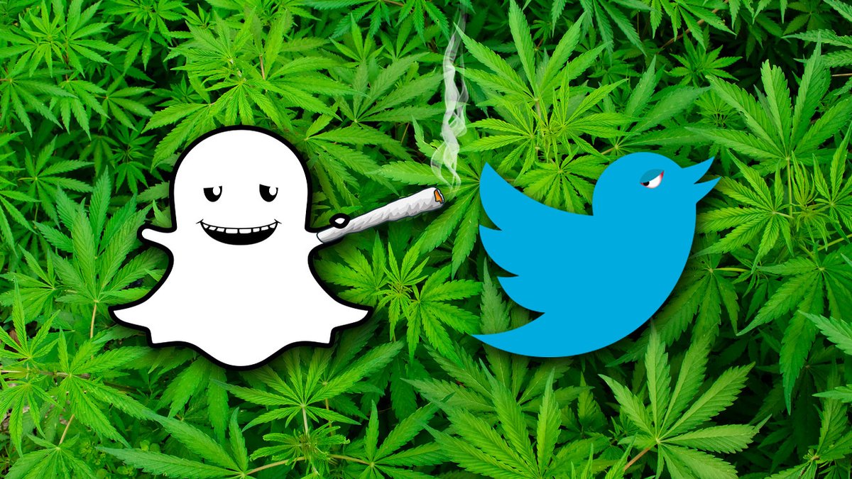 Twitter decriminalizes cannabis and you can now advertise on their platform. Huge, huge, Thank you @Twitter . Viva Dagga. 

cannabispromoter.com/what-twitter-t…