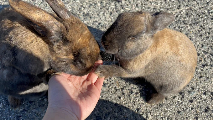 かわいいねぇ( ◜ᴗ◝)- ̗̀ ꪔ̤̥ꪔ̤̮ꪔ̤̫  ̖́- 