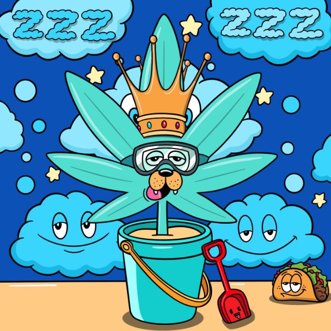 shisler671.eth tweet media