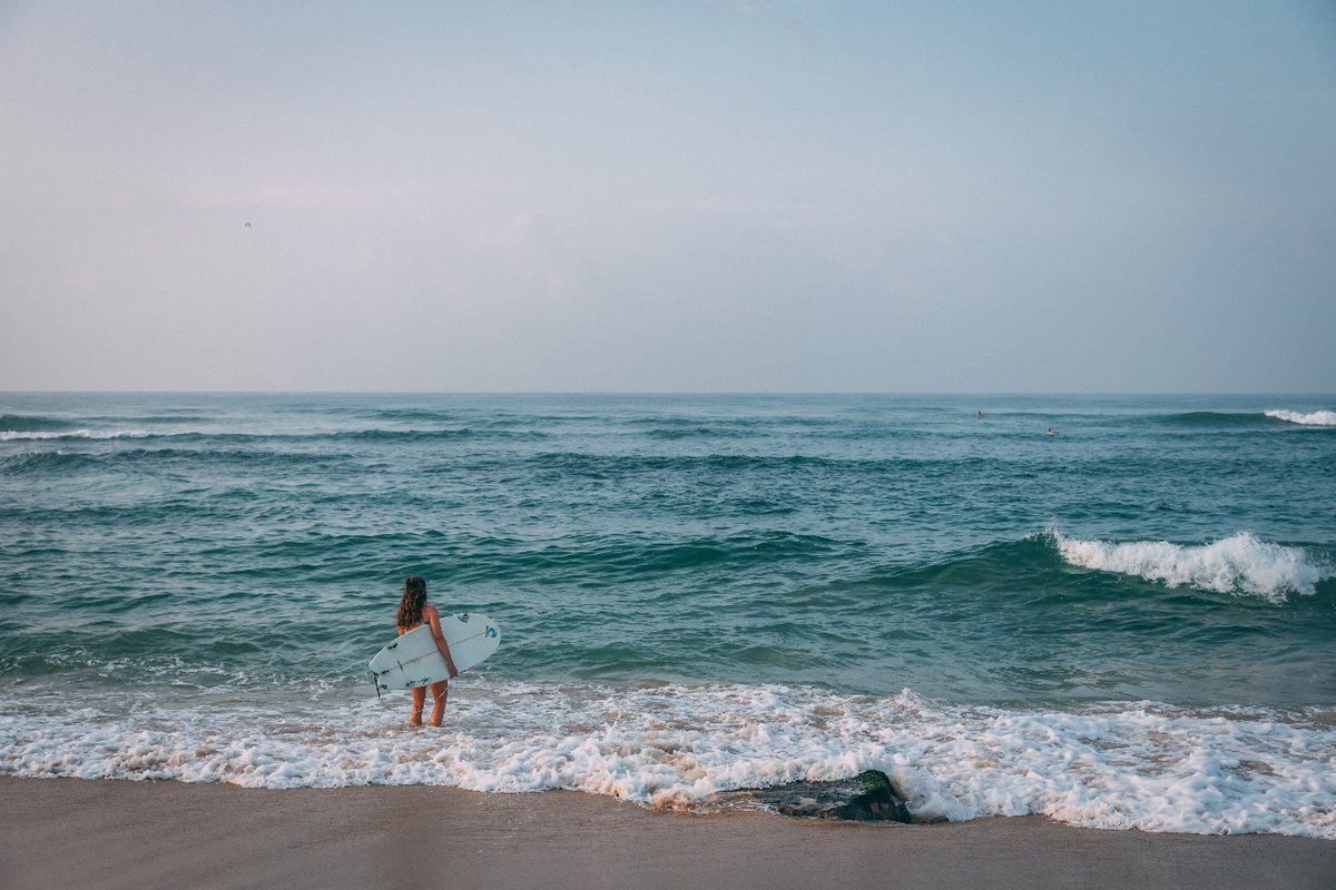 TTRLifesGood's tweet photo. Join us for a week of surf, sun, and yoga in beautiful South West Sri Lanka this March in a fun, female-only environment. 
#ttrlifesgood #learntosurf #surfing #ttrsrilanka #srilanka #ceylon #womensweek #girlsurfer #womenwhosurf #womensurfers #womensurfer #womensurfing https://t.co/ZfvOyMQv9z