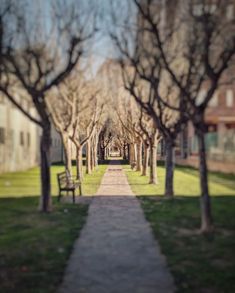 m_chimeno's tweet photo. Caminante, sí hay camino. (4/52)
#proyecto52
#pixel4a #teampixel https://t.co/5ryCe74IUl https://t.co/xllqjce6um